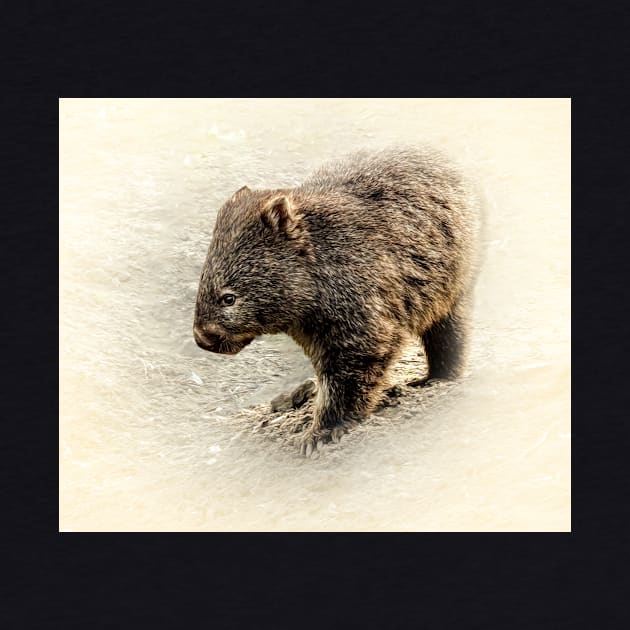 Wombat by Guardi